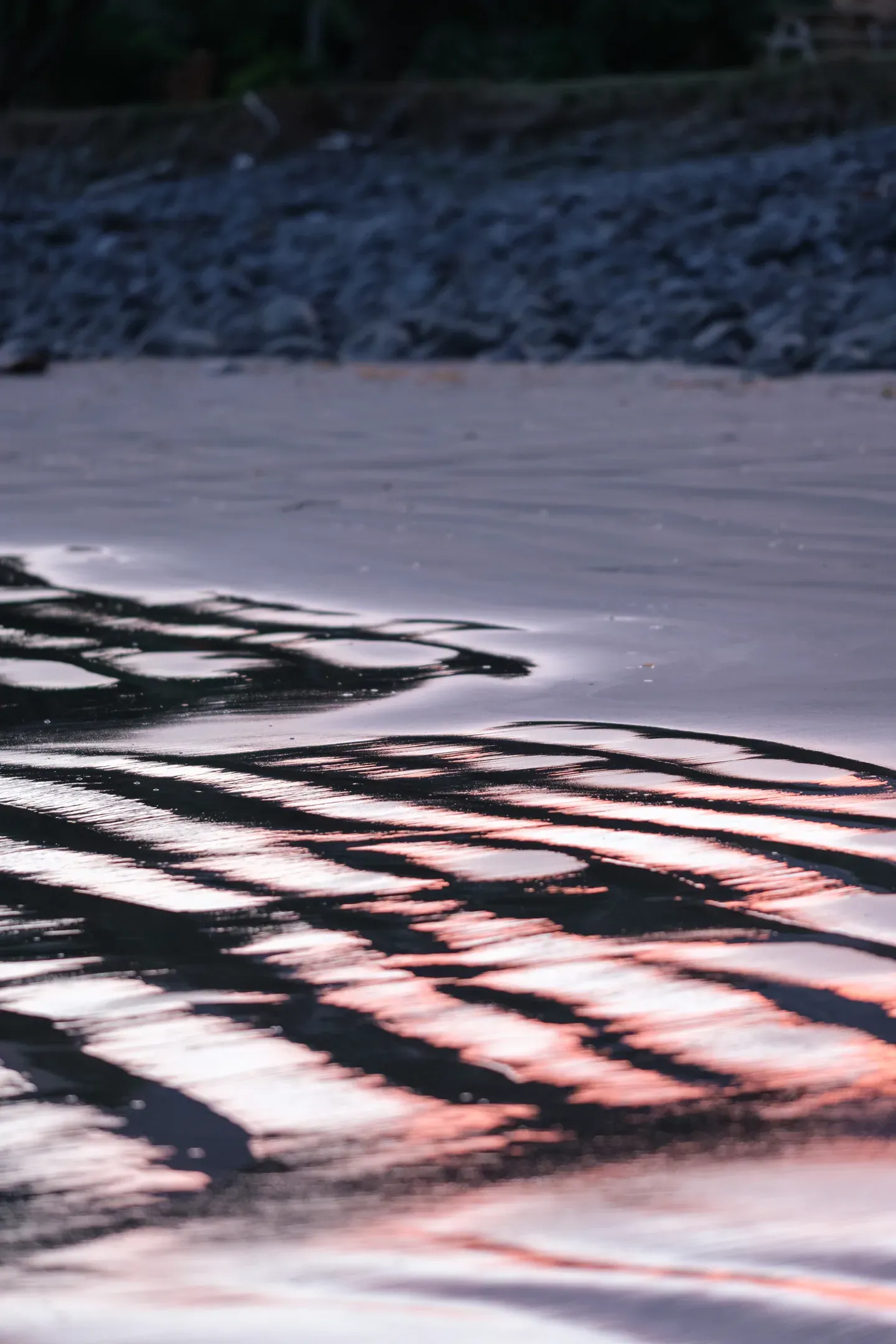Ripple patterns in shallow water on a river flat